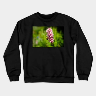 Beautiful Pink Flower With A Bee Pollinating And Green Background Crewneck Sweatshirt